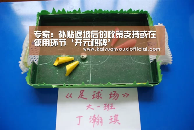 专家:补贴退坡后的政策支持或在使用环节‘开元棋牌’(图2) 开元棋牌