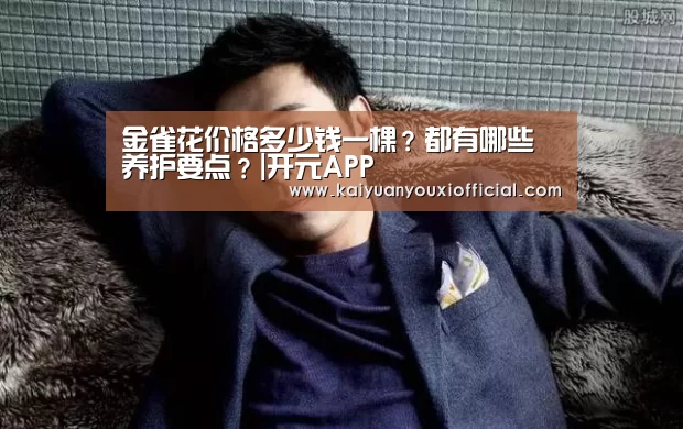 金雀花价格多少钱一棵?都有哪些养护要点?|开元APP(图2) 开元体育