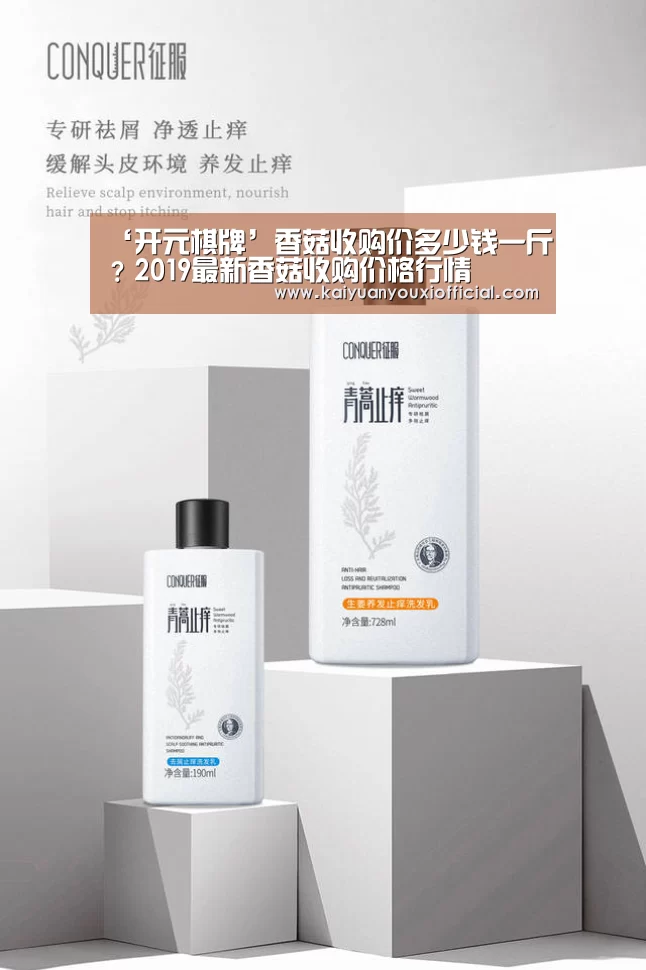 开元网站