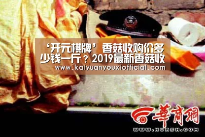 开元棋牌