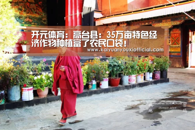开元网站