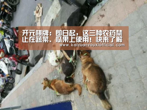 开元棋牌:即日起,这三种农药禁止在蔬菜、瓜果上使用!快来了解下!(图2) 开元APP