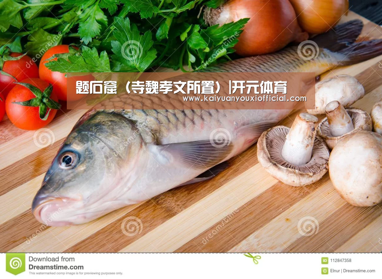 题石窟(寺魏孝文所置)|开元体育(图3) 开元体育
