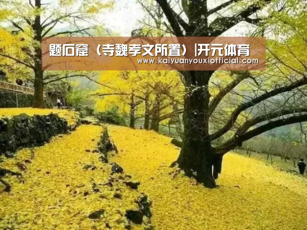题石窟(寺魏孝文所置)|开元体育(图1) 开元棋牌