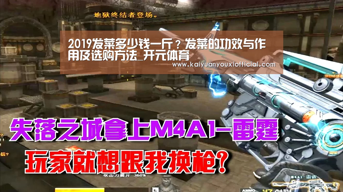 2019发菜多少钱一斤?发菜的功效与作用及选购方法_开元体育(图3) 开元棋牌