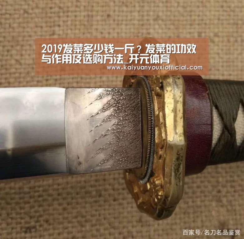 2019发菜多少钱一斤?发菜的功效与作用及选购方法_开元体育(图1) 开元体育