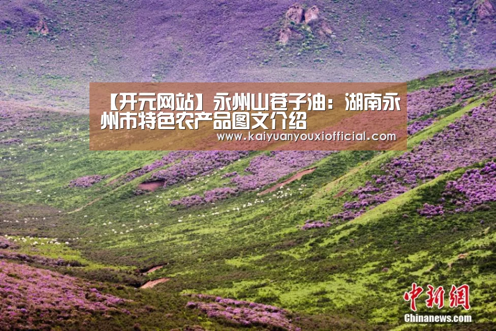 【开元网站】永州山苍子油:湖南永州市特色农产品图文介绍(图4) 开元APP