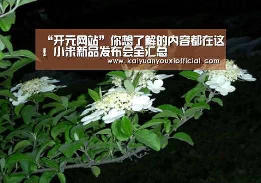 “开元网站”你想了解的内容都在这!小米新品发布会全汇总(图3) 开元网站